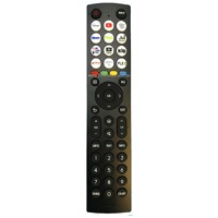 EN2B36H Genuine Original HISENSE TV Remote Control